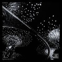 R/D/V - Spores (Remixes by Isgang & Stndrd.)