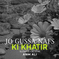 Asim Ali - Jo Gussa Nafs Ki Khatir Lofi