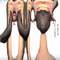 Hate Moss - Dei Buoni Dei (Live at Glue, Florence, Italy, 14/02/2023)