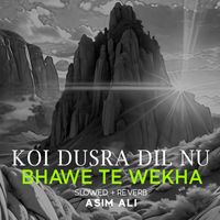 Asim Ali - Koi Dusra Dil Nu Bhawe Te Wekha Lofi