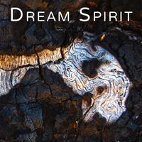 Ash Dargan - Dream Spirit