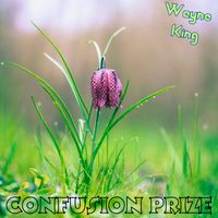 Wayne King - Confusion Prize