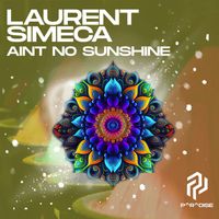 Laurent Simeca - Ain't No Sunshine