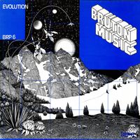 John Cameron - Bruton BRP6: Evolution