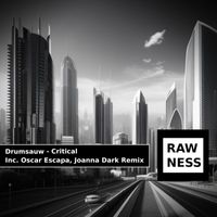 Drumsauw - Critical