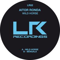 Aitor Ronda - Wild Horse