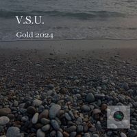 V.S.U. - Gold 2024