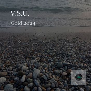 V.S.U. - Gold 2024
