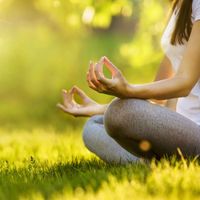 Thai Massage Time - Yoga & Stress Relief