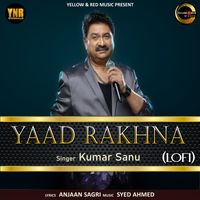 Kumar Sanu - Yaad Rakhna (Lofi)