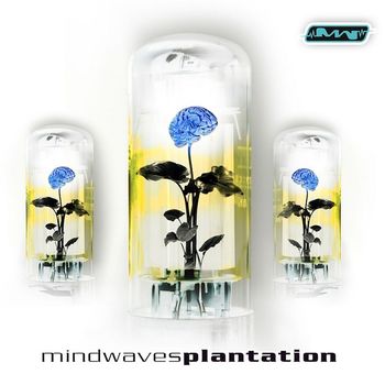 Various Artists - Mindwaves Plantation