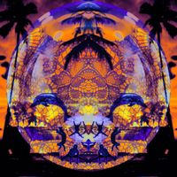 Submarine Surfers - Expedition to Goa