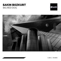 Sakin Bozkurt - Big Red Dog