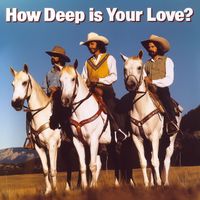 Daniel E. Gindin - How Deep is Your Love?