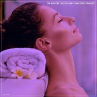 Various Artists - Spa & Resort Chillout and Lounge Perfect Playlist