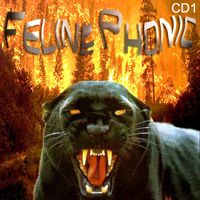 Feline Phonic - CD1 Predator