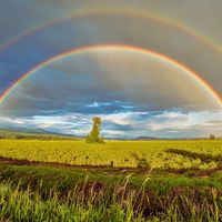 The Osho Lifestyle - Under Rainbow