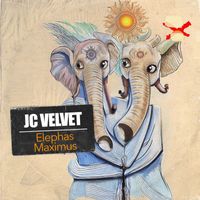 J.C. Velvet - Elephas Maximus