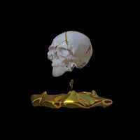 SKULLS - Resilience