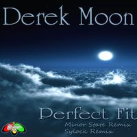 Derek Moon - Perfect Fit