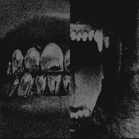 Aquarium - Nocturnal Movements