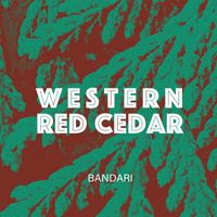 Bandari - Western Red Cedar