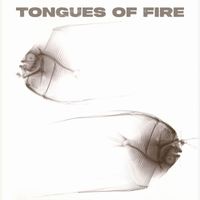 Tongues of Fire - Burn