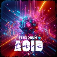 SteelDrum - Acid Rave