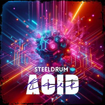 SteelDrum - Acid Rave