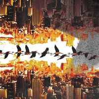 Vlad - Room at the end of the world