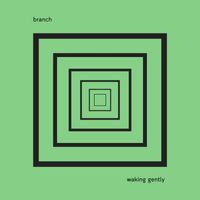 branch - waking gently