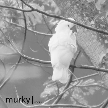 Murky - Rocks