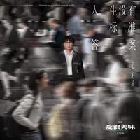 毛不易 - 人生没有标准答案 (《爱很美味》电影片尾曲)