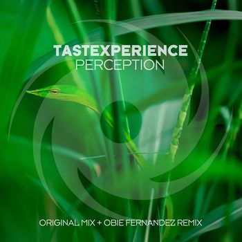 Tastexperience - Perception