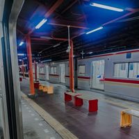 Lemuria - You're the My Flowers (Remastered 2024)