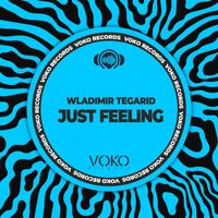 Wladimir Tegarid - Just Feeling