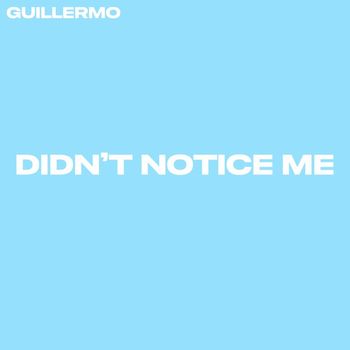 Guillermo - Didn't Notice Me