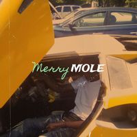 MOLE - Merry (Explicit)