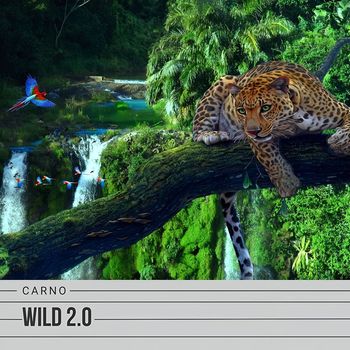 CARNO - Wild 2.0