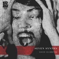 Seven Synths - Schizo Celebrating EP
