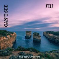 FIJI - Can't See