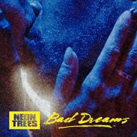 Neon Trees - Bad Dreams (Explicit)