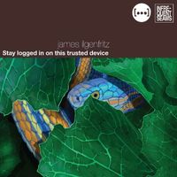 James Ilgenfritz - Almostness