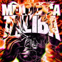 DJ RIO - MTG MELODICA TALIBA