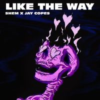 Shem - Like The Way (Explicit)