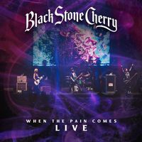 Black Stone Cherry - When The Pain Comes (Live)