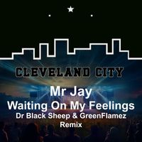 Mr Jay - Waiting on My Feelings (Dr Black Sheep & GreenFlamez Remix)