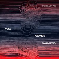 Müslüm Arı - You Never Wanted