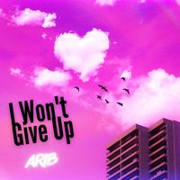 ArIb - I Won't Give Up
