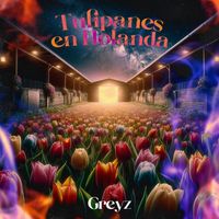 Greyz - Tulipanes En Holanda